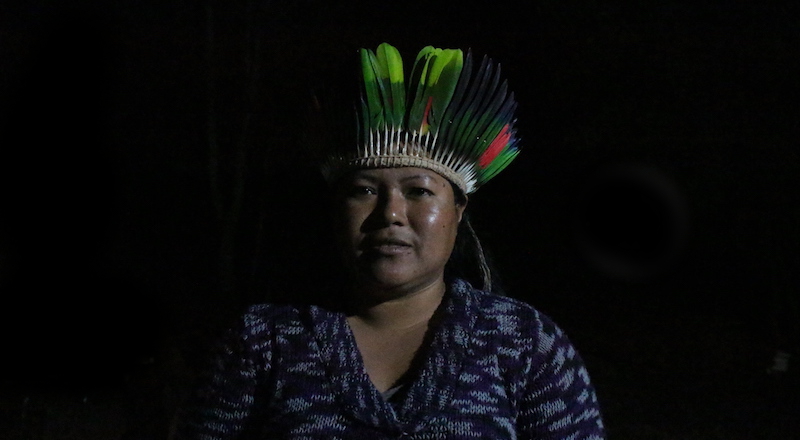 paulina martinez tribes in guaira